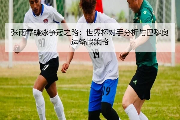 张雨霏蝶泳争冠之路:世界杯对手分析与巴黎奥运备战策略