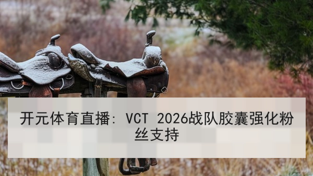 开元体育直播: VCT 2026战队胶囊强化粉丝支持