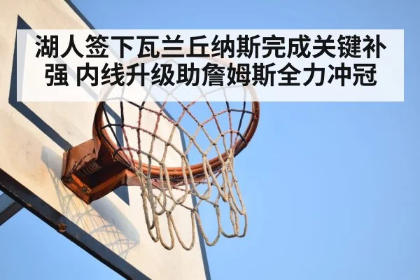 湖人签下瓦兰丘纳斯完成关键补强 内线升级助詹姆斯全力冲冠